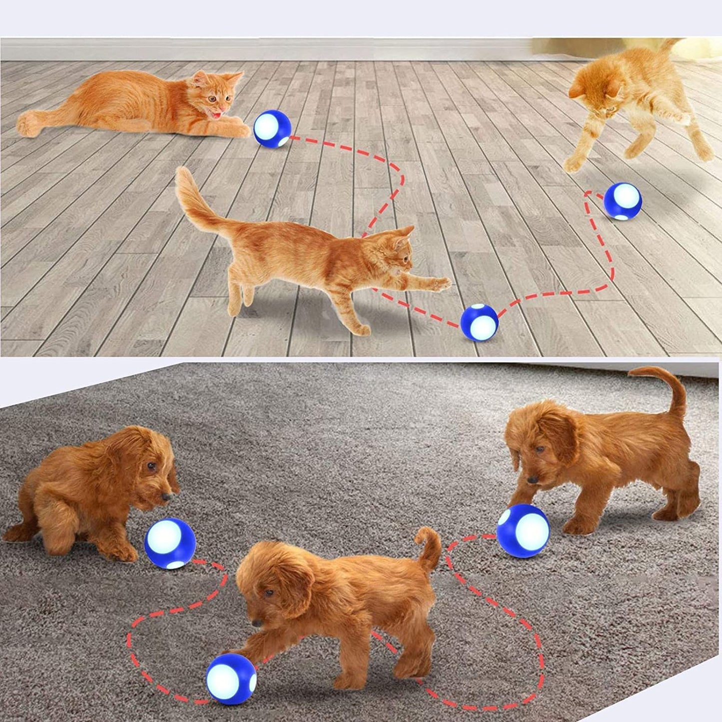 Pet Toys Ball for Cat/Ferret/Weasel Toys Ball Rechargeable Active Rolling Busy Ball Interactive Wicked Ball with RGB Light Pet Companion Gift to Entertain & Keep Healthy